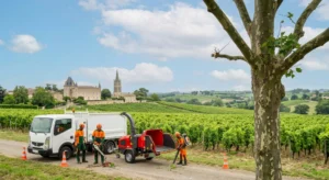 Prix élagage arbre en Gironde _ tarifs et devis