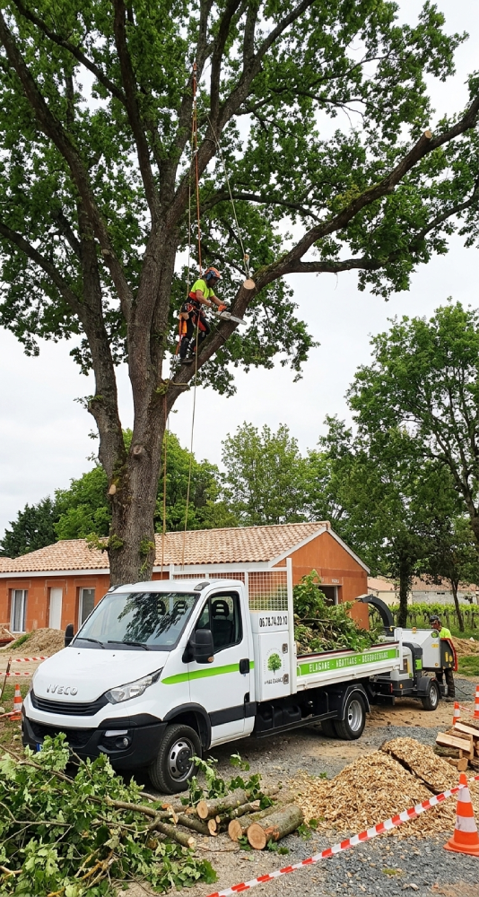 service d’élagage au Bouscat