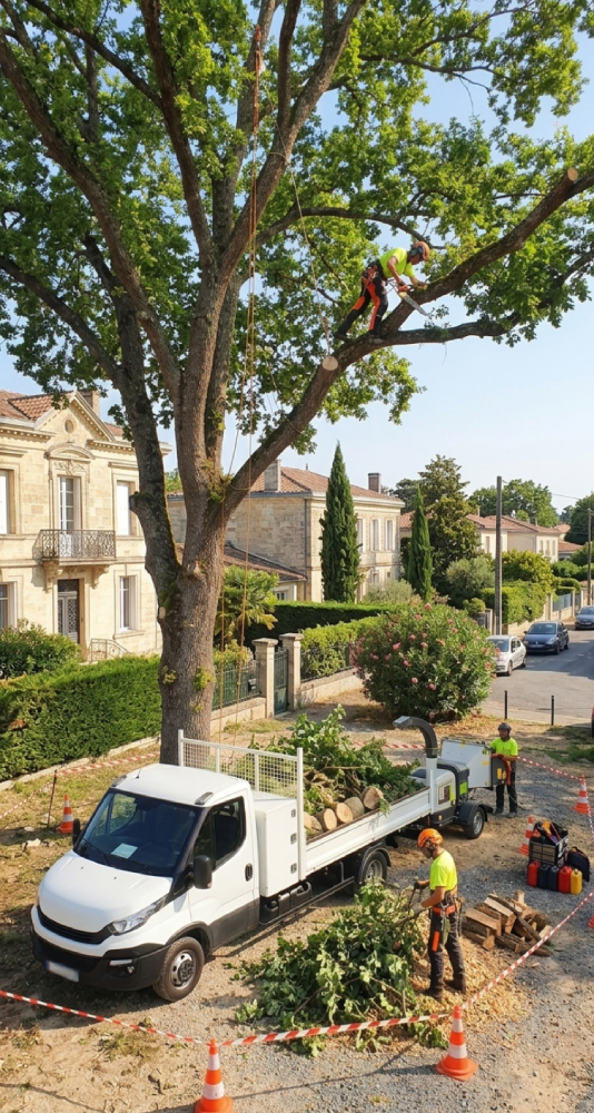 travaux d’élagage à Talence